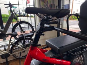 TERN HSD P9 eBike with Bosch Active Line Plus
