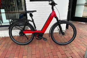 IN STORE, DEMO:  Riese & Mulle Nevo GT Vario - 47 cm Medium, Bosch Smart System